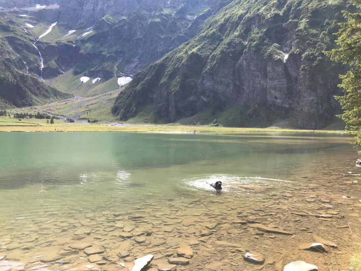 Ferienwohnung Wildkogelblick บรามแบร์กอามเวลโคเกล ภายนอก รูปภาพ
